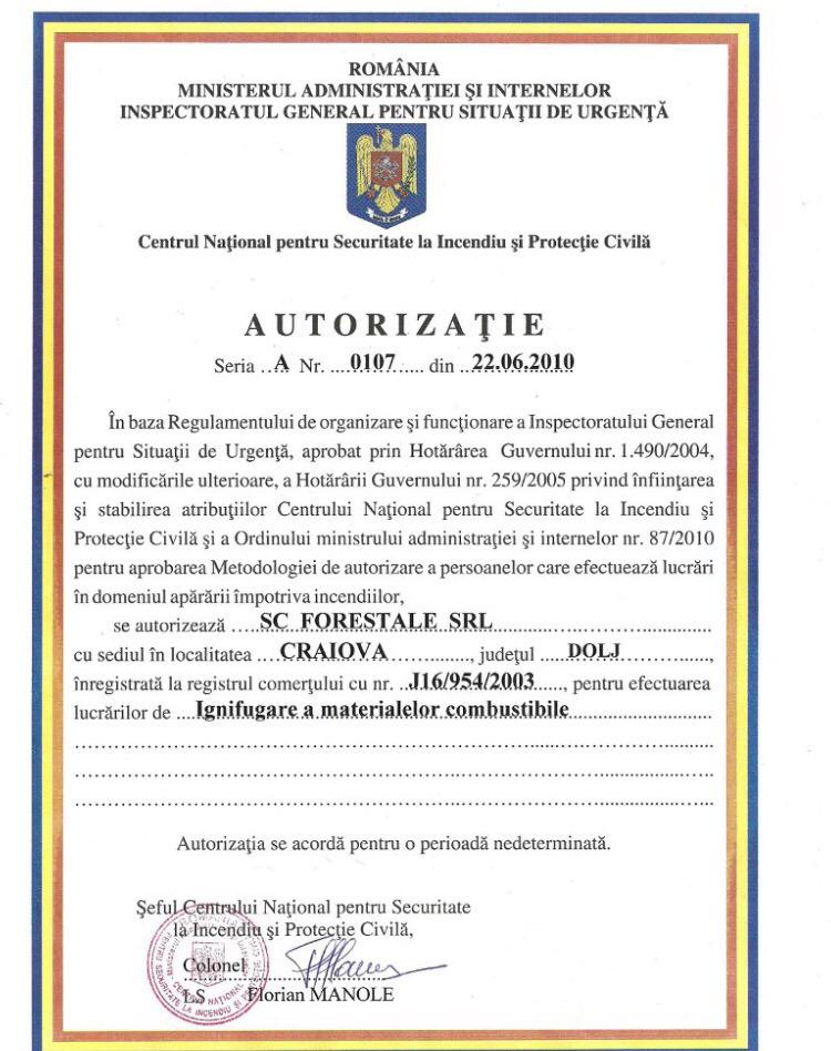 tamplarie lemn craiova, usi lemn craiova, foisoare craiova